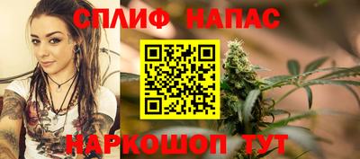 дмт Ставрополь