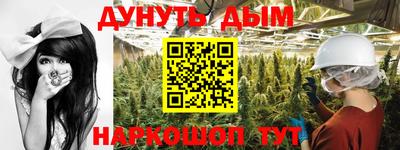 дмт Ставрополь