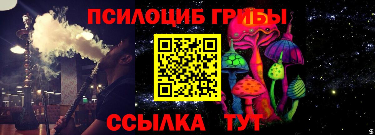 Черкесск  Галлюциногенные грибы GOLDEN TEACHER  Вход с VPN 