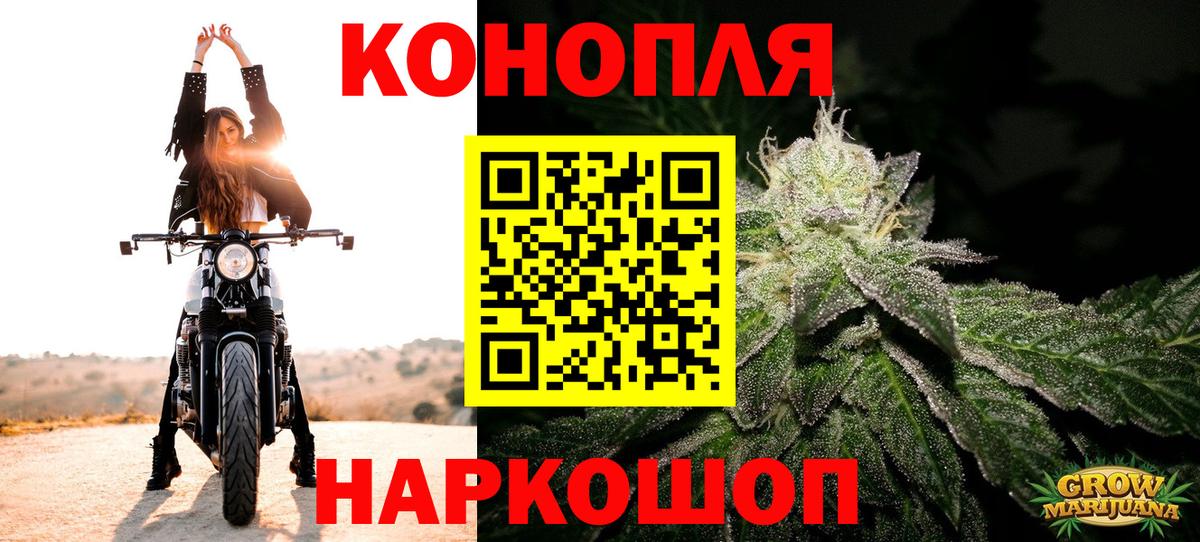 Бошки Шишки план Черкесск
